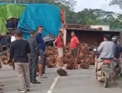 Tabrakan Beruntun di Kembayan: Truk Sawit dan Ekspedisi Bertabrakan, Jalan Lintas Malaysia-Indonesia Macet Parah