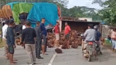 Muatan kelapa sawit berhamburan di jalan setelah truk terguling dalam kecelakaan beruntun di Kembayan.