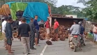 Muatan kelapa sawit berhamburan di jalan setelah truk terguling dalam kecelakaan beruntun di Kembayan.
