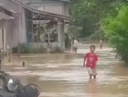 Banjir Dusun Semayong Capai Betis Orang Dewasa, Warga Berupaya Selamatkan Diri