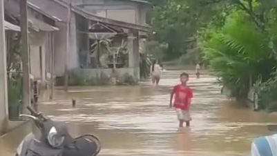 Kondisi banjir di Dusun Semayong, Kecamatan Beduai, Kabupaten Sanggau pada 6 September 2025. Terlihat warga berjalan menembus genangan air yang mencapai betis orang dewasa.