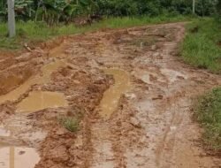 Warga Keluhkan Kondisi Jalan Rusak di Desa Tolok, Menyuke: Penuh Kubangan Lumpur dan Sulit Dilalui