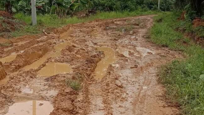 Kondisi jalan di Desa Tolok, Menyuke, Kabupaten Landak, yang dipenuhi kubangan lumpur, menyulitkan aktivitas warga.