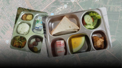 Ilustrasi - Piring makan berisi nasi, lauk pauk, dan sayuran sebagai ilustrasi hidangan Makanan Bergizi Gratis (MBG) untuk anak sekolah. (Dok. Ilustrasi - Faktakalbar.id)