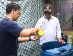 Peningkatan Kasus DBD di Pontianak, Dinkes Gencarkan Gerakan PSN Serentak