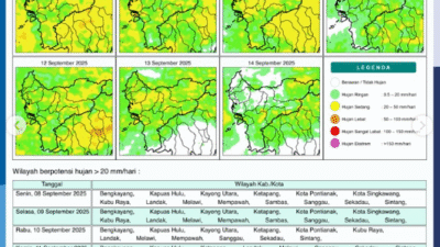 Peta potensi hujan harian Kalimantan Barat untuk tanggal 8 September 2025. Peta ini menunjukkan wilayah-wilayah yang diprediksi akan mengalami hujan dengan intensitas sedang hingga lebat pada hari tersebut.