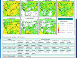 Prakiraan Cuaca Hari Ini: Sebagian Besar Wilayah Kalbar Berpotensi Hujan Sedang Hingga Lebat