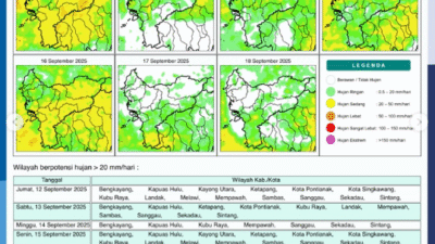 Peta Peringatan Dini BMKG menunjukkan potensi hujan sedang hingga lebat di hampir seluruh wilayah Kalimantan Barat pada Jumat, 12 September 2025.