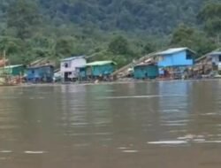 Polda Bongkar 29 Kasus PETI, “Cukong” AS Belum Tersentuh