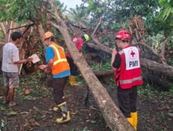 BNPB Rilis Data Bencana Terkini, Sejumlah Wilayah Terdampak Hidrometeorologi