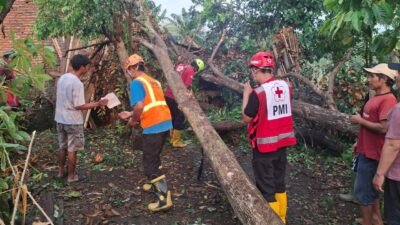 Petugas gabungan dan warga bergotong-royong membersihkan bagian dari pohon tumbang akibat angin kencang di salah satu desa.