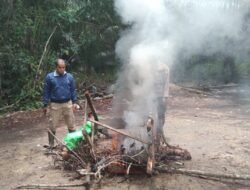Tindak Cepat Laporan Warga, Polisi Musnahkan Arena Sabung Ayam di Belitang Hilir