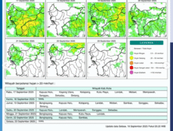 Sejumlah Wilayah Kalimantan Barat Berpotensi Hujan Lebat Hari Ini