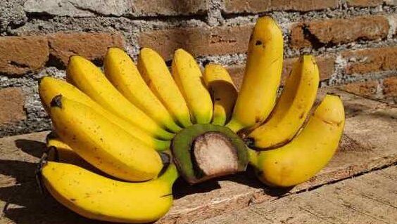 "Kenali lima buah lezat yang dapat membantu mengembalikan mood Anda secara alami dan sehat, dari pisang hingga buah beri. "