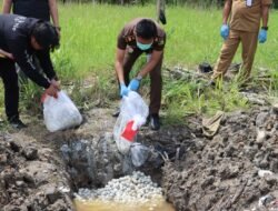 Ribuan Telur Penyu Hijau Hasil Sitaan Dimusnahkan di Sambas