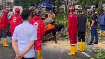 Wali Kota Pontianak Edi Rusdi Kamtono memantau langsung proses evakuasi pohon tumbang di Jalan HOS Cokroaminoto, Rabu (24/9/2025).