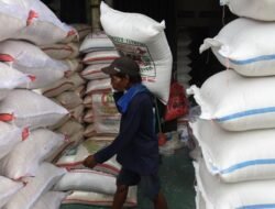 29 Ribu Ton Beras Bulog Turun Mutu dan 1,45 Juta Ton Menumpuk di Gudang