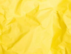 4 Filosofi Mendalam di Balik Cerahnya Warna Kuning