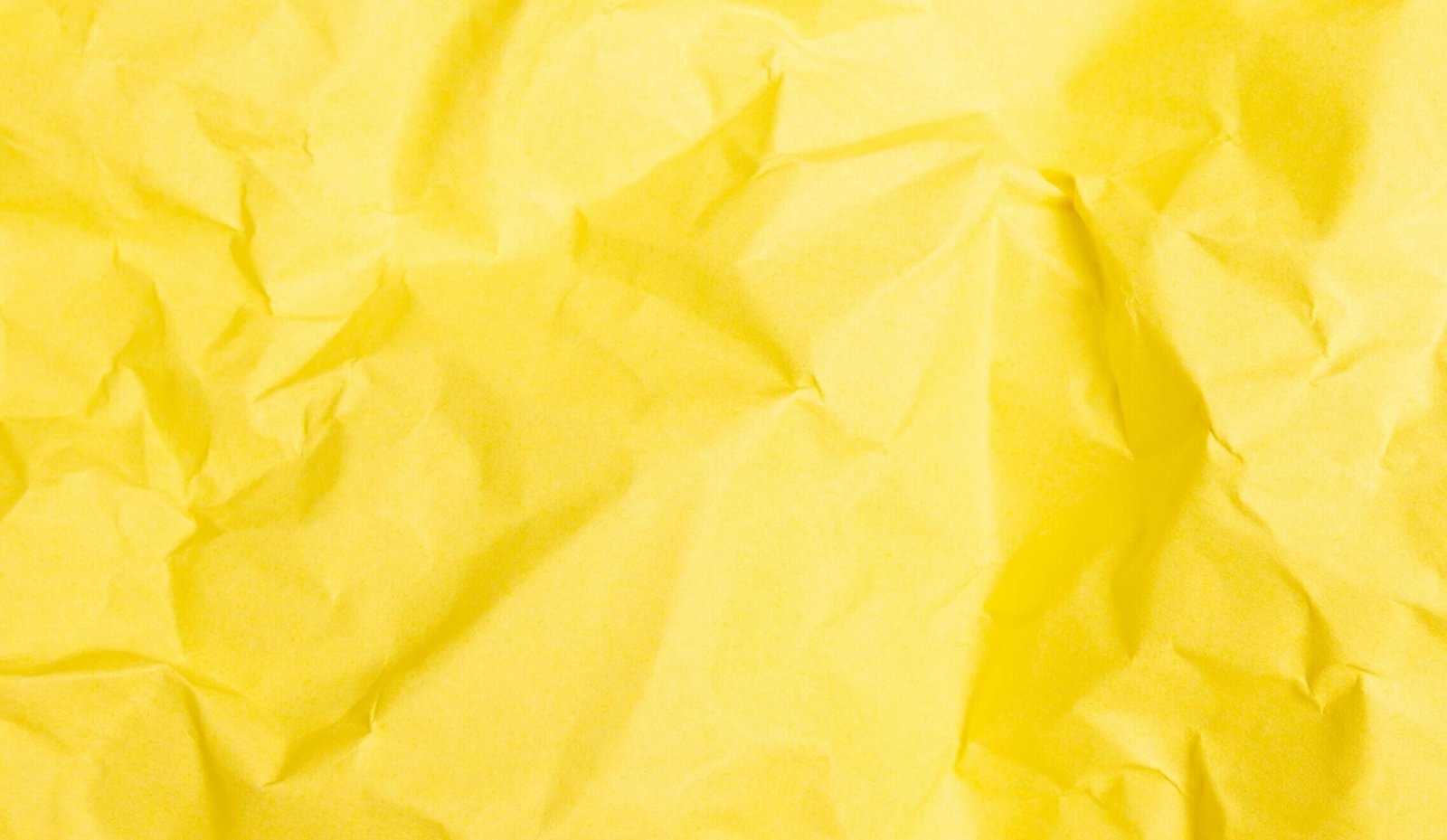 "Jelajahi 4 filosofi mendalam di balik cerahnya warna kuning, dari simbol harapan dan kekayaan hingga makna peringatan dan kreativitas. Temukan makna tersembunyi yang mungkin belum Anda ketahui."