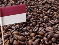 5 Negara Penghasil Kopi Terbesar di Dunia