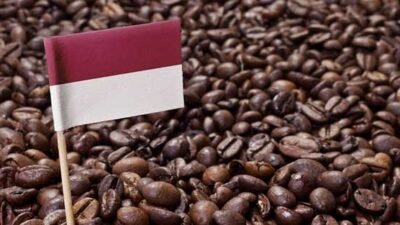"Cari tahu 5 negara penghasil kopi terbesar di dunia, mulai dari Brasil yang mendominasi hingga Etiopia yang merupakan tanah kelahiran kopi."