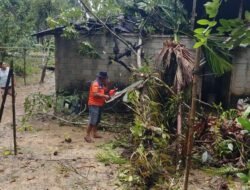 BNPB: Cuaca Ekstrem Landa Sumut dan Jateng, Ratusan Rumah Rusak, Satu Warga Luka