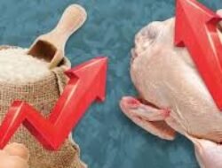 Atasi Inflasi, Pemerintah Fokus Kendalikan Harga Ayam dan Jaga Stabilitas Beras