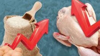 "Pemerintah fokus mengendalikan inflasi dengan menjaga stabilitas harga ayam ras dan beras, di tengah tantangan kenaikan harga komoditas pangan lainnya."