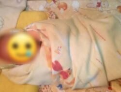 Bayi Laki-laki Ditemukan di Kebun Warga di Kubu Raya, Kondisinya Penuh Luka dan Dikerumuni Semut