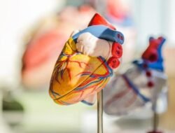 Data Kemenkes 2025: DIY Catat Prevalensi Penyakit Jantung Tertinggi di Indonesia