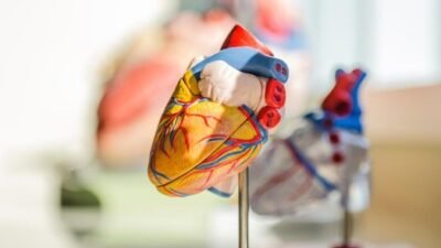 "Kemenkes merilis data terbaru 2025, menempatkan DIY sebagai provinsi dengan prevalensi penyakit jantung tertinggi di Indonesia, diikuti Papua Tengah dan DKI Jakarta."