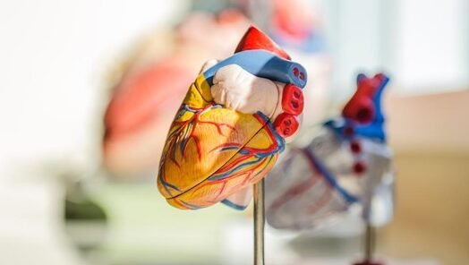 "Kemenkes merilis data terbaru 2025, menempatkan DIY sebagai provinsi dengan prevalensi penyakit jantung tertinggi di Indonesia, diikuti Papua Tengah dan DKI Jakarta."