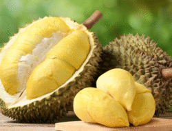 Hati-Hati, 5 Buah Ini Sebaiknya Dihindari Saat Tubuh Sedang Sakit