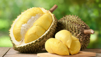 "Saat sakit, beberapa jenis buah ternyata bisa memperburuk gejala. Kenali 5 buah yang sebaiknya dihindari saat demam, batuk, atau maag agar pemulihan lebih cepat."