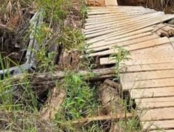 Jembatan Nanga Lebang Putus Akibat Hujan Deras, Akses ke Puskesmas Terganggu