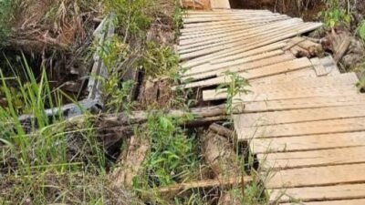 "Jembatan penghubung Dusun Kelumbik ke Puskesmas Nanga Lebang putus akibat hujan deras. Staf puskesmas dan kades perbaiki jembatan secara swadaya."