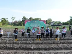 Optimalisasi Lahan Pertanian, Polres Kayong Utara Berkontribusi untuk Swasembada Jagung