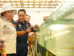 Jaga Kelestarian dan Ekonomi, KKP-DPR RI Edukasi Pelaku Usaha Budidaya Ikan Arwana di Kalbar