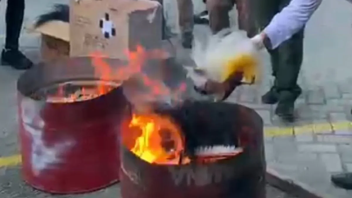 Mahkota Cenderawasih, simbol kehormatan dan identitas kultural masyarakat Papua, yang menjadi sorotan setelah pemusnahan barang bukti oleh Kemenhut.