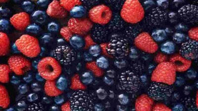 "Ingin anak lebih fokus dan cerdas? Nutrisi sangat penting. Simak 8 makanan terbaik untuk otak anak, dari ikan berlemak hingga sayuran hijau, yang bantu dukung daya ingat."