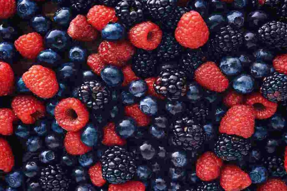 "Ingin anak lebih fokus dan cerdas? Nutrisi sangat penting. Simak 8 makanan terbaik untuk otak anak, dari ikan berlemak hingga sayuran hijau, yang bantu dukung daya ingat."