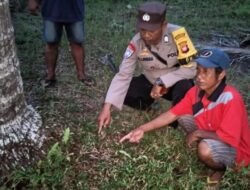 Polres Kubu Raya Tetapkan Ibu Kandung Tersangka Kasus Pembuangan Bayi di Padang Tikar
