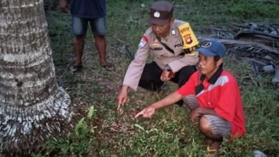 Polres Kubu Raya Tetapkan Ibu Kandung Tersangka Kasus Pembuangan Bayi di Padang Tikar