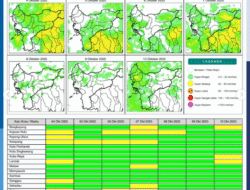 Prakiraan Cuaca Kalbar Hari Ini: Hujan Ringan-Sedang, Waspada Petir di Sore Hari
