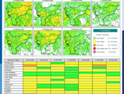 Prakiraan Cuaca BMKG Minggu 12 Oktober 2025: Sebagian Besar Kalbar Berpotensi Hujan Sedang-Lebat