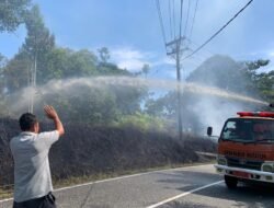 Karhutla Landa Tiga Kabupaten di Aceh dan Sumut dalam Sehari, Puluhan Hektar Lahan Ludes Terbakar