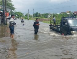 Banjir di Jawa Tengah: 38 Ribu Jiwa Terdampak di Semarang, 1.500 Hektar Lahan di Banjarnegara Terendam