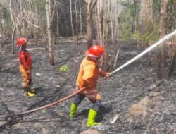 Medan Sulit Dijangkau, Tim Gabungan Berjibaku Padamkan Kebakaran Lahan di Situbondo