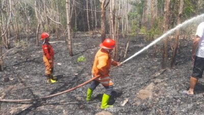 Personil BPBD dan tim gabungan saat memadamkan 3,5 ha lahan yang terbakar di wilayah Kecamatan Panarukan, Kabupaten Situbondo, Jawa Timur pada Minggu (12/10). Foto: BPBD Kabupaten Situbondo