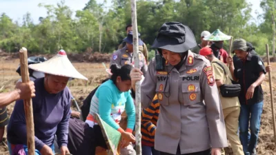 Kapolres Landak, AKBP Devi Ariantari, secara simbolis melakukan penanaman perdana di Demplot Presisi Kwartal IV Polres Landak di Desa Nyiin, Kecamatan Jelimpo, Selasa (14/10/2025).